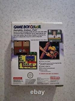 Game Boy Color Grape Handheld Console- Tested, Works Perfectly, Original Product