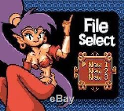 GameBoy Color Spiel Shantae SEHR SELTEN! (Modul)