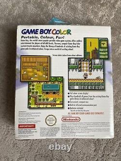 Nintendo Gameboy Color Console Purple / Grape, Boxed with Manual(s)