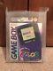 Nintendo Game Boy Couleur Vga Or 85+ Nm + Atomic Purple (raisin)