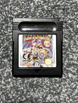 RARE Boîte de Ghosts'N' Goblins pour GameBoy Color