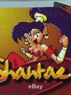 Shantae Game Boy Couleur Complète Dans La Boîte Avec Des Instructions Et Des Brochures Authentiques